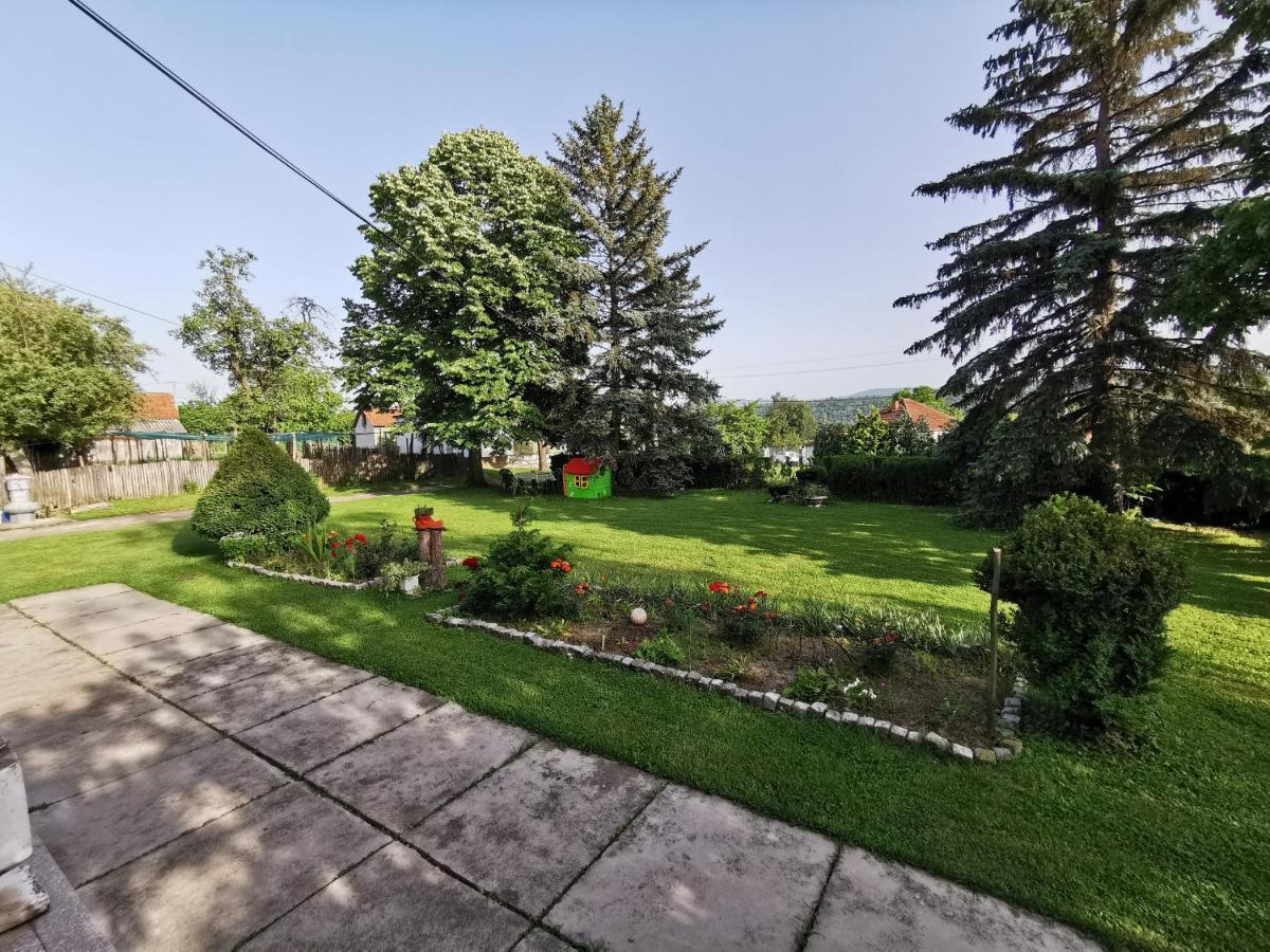 Apartments Domacinstvo Nikolic Valjevo Exterior photo